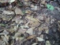/album/fotogaleria/p1060880-jpg/
