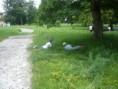 /album/fotogaleria/p1070056-jpg/
